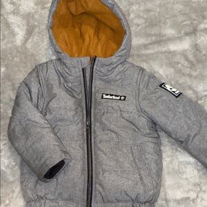 Timberland Toddler Gray Jacket with Orange Lining